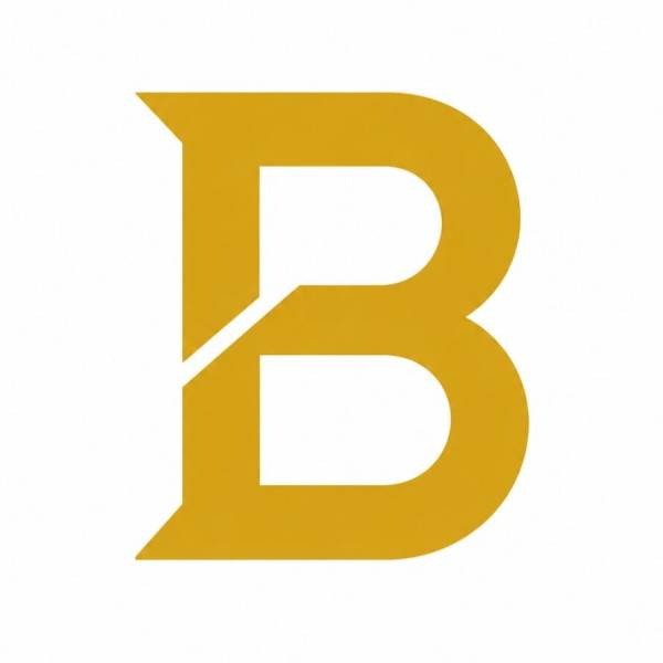 BRYFIEL social media App logo